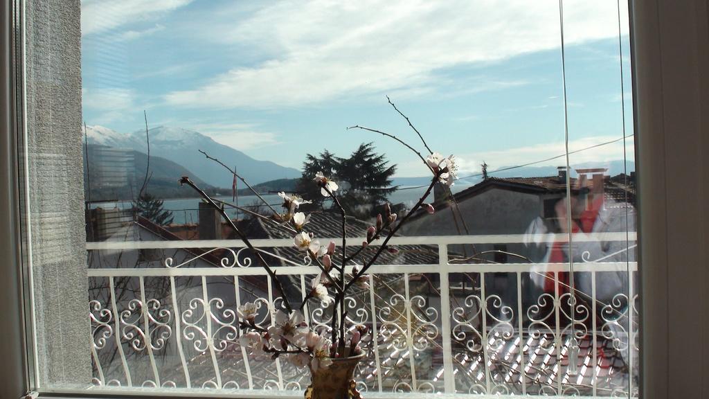 Villa Metulevi Ohrid Exterior photo